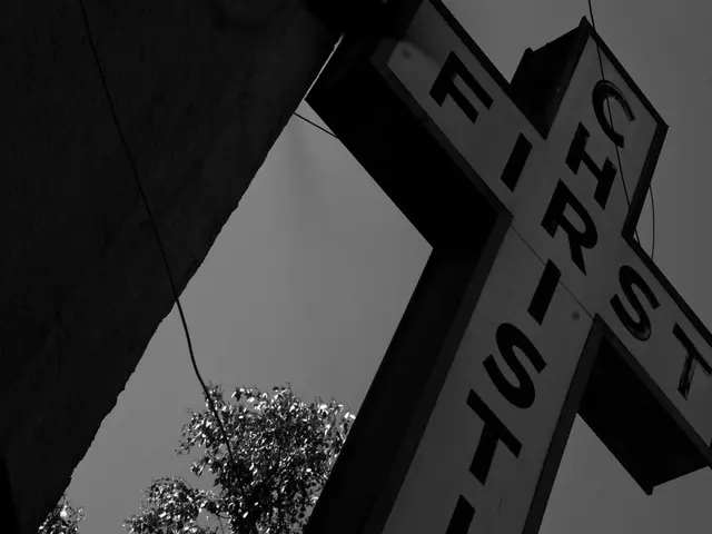 Preliminary Evaluation of Design Elements