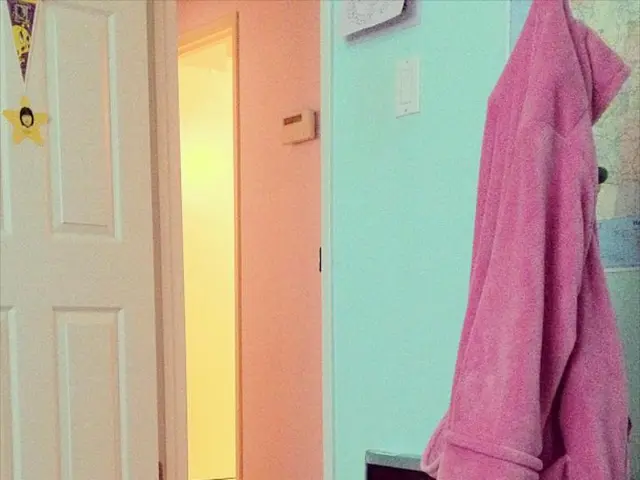 Metzingen's standout pink residence incites community discord