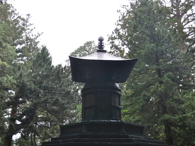 Tourists in the Black Forest encounter difficulties with their payment methods due to lack of cash.