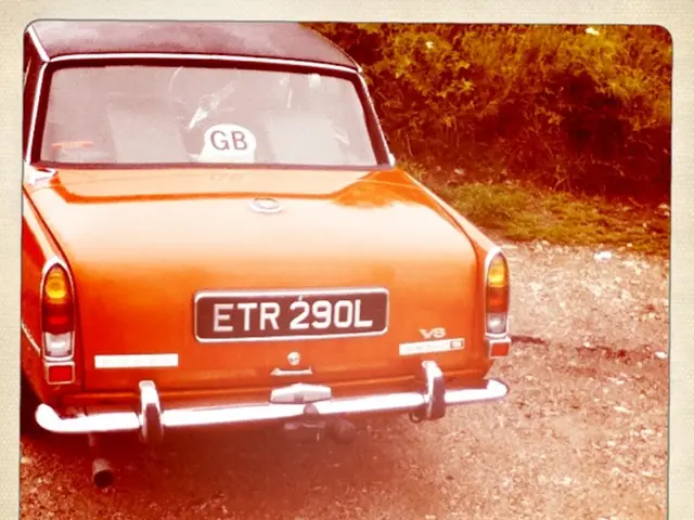 Driver under the influence of alcohol crashes into a tree and strikes a cat, according to Polish...