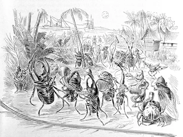 The mysteries behind Amazon unveiled