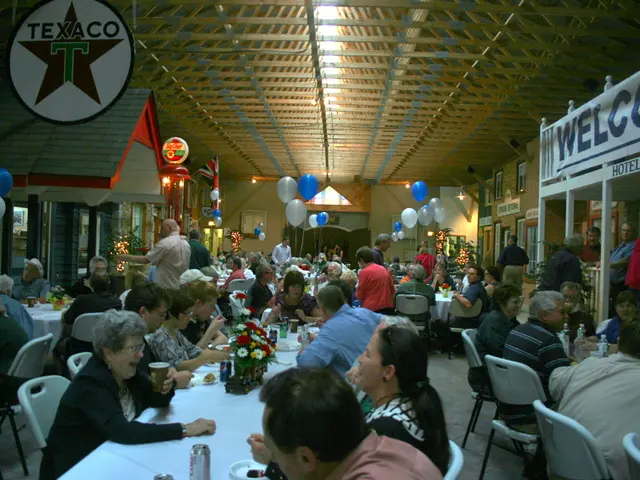 Creative Methods to Showcase Succulents Uniquely