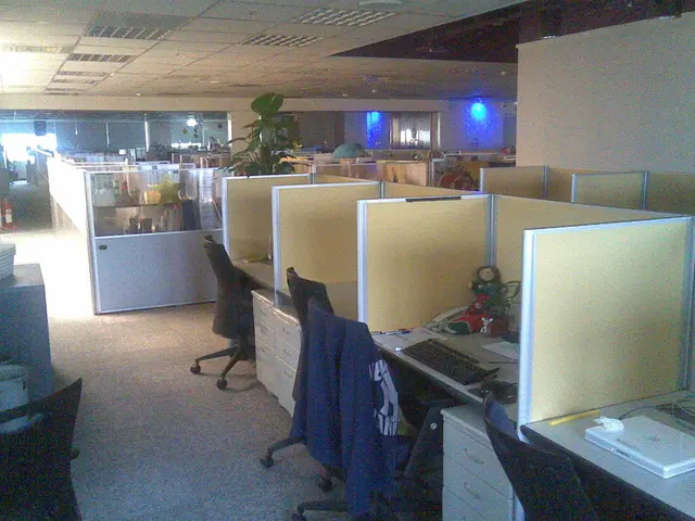 Examining the Identity Dilemma at Work: The Controversy Surrounding Office Spaces