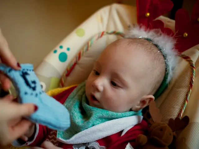 Fetal Development in Week 8: Shaping of Fingers and Toes