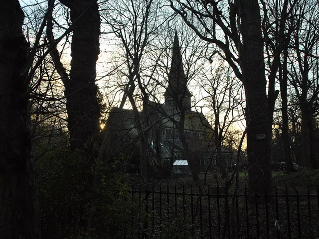 Essential Home Maintenance Tasks for Autumn, as per Expert Advice for Seasonal Preparedness