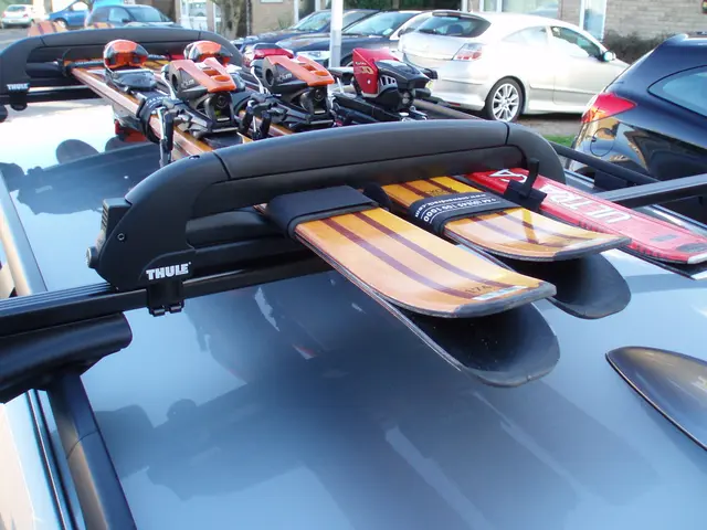 Decline in ski rental demand in Russia by 6% observed