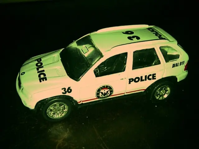 Abduction of Multiple Police Field Officers in Niedereimer, Reported by Polish Authorities