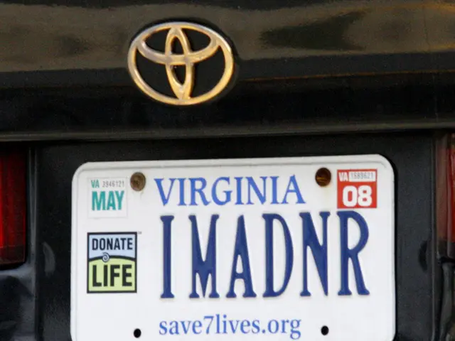 Tech giant Alphabet commences operations in Serbia