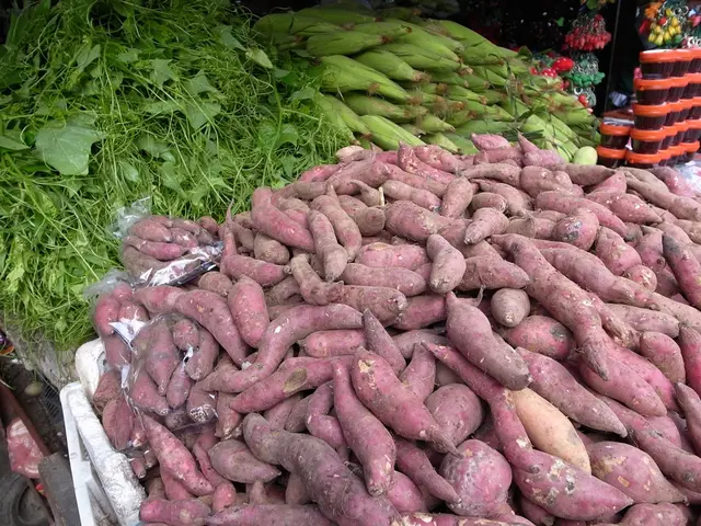 Nutrient-Rich Sweet Potatoes: A Healthy Carbohydrate Choice for Boosting Wellness