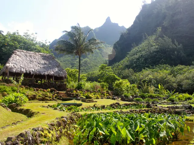 Diagnosing a fracture versus a severe injury without the use of an X-ray, the doctor explained to...