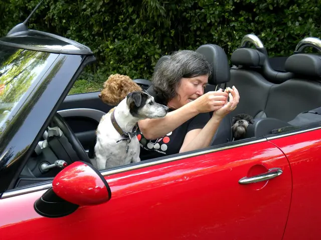 Car crash in Poland: Driver swerves into tree during evasive movements
