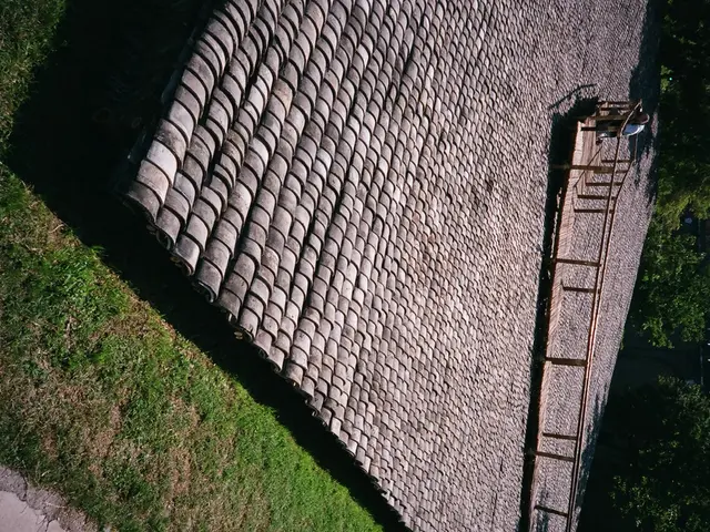 Exploring Life in the Rocks: A Geologist's Journey with GoPro