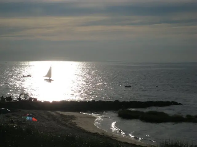 Tory politician Kemi Badenoch pledges to extract all oil and gas resources from the North Sea