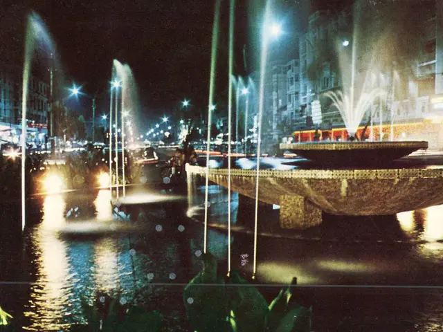 Solar Panels: Understanding Their Function and Future Directions