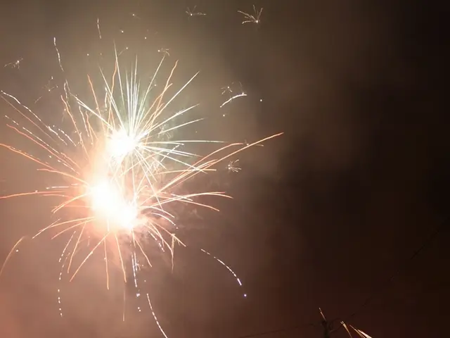 The 'Herber Loss': Exploration of the Woltemade Transformation and Its Aftermath