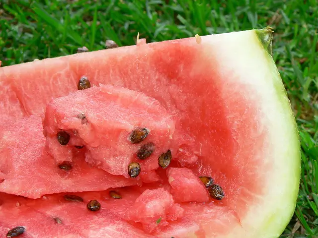 Revival Strategies for a Dying Watermelon Plant: Useful Guidance for Garden Enthusiasts