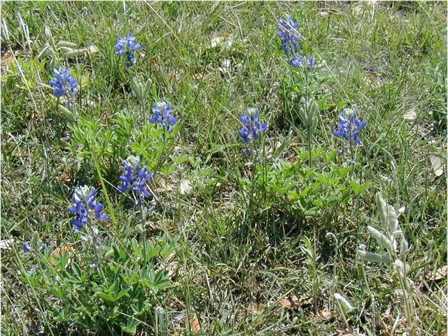 Successful Garden Gardening: Successful Approaches for Controlling Unwanted Weeds