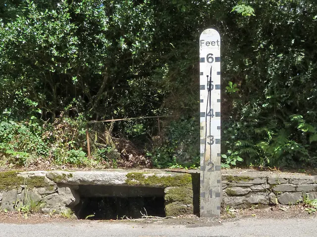 Methods to Trim Loropetalum for Maximizing Development and Shape