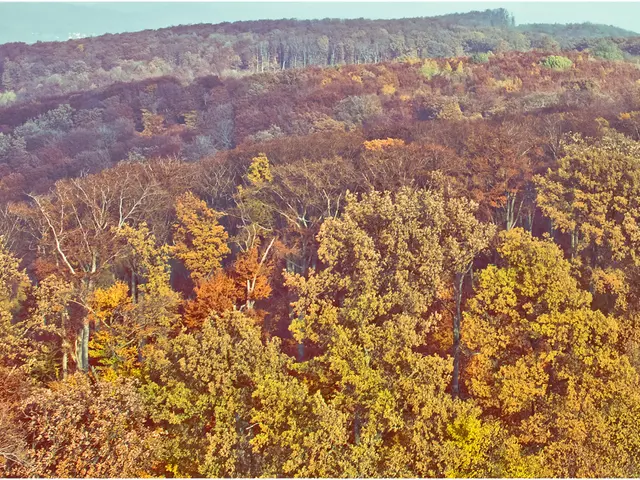 Newly Introduced Green Employment Initiative