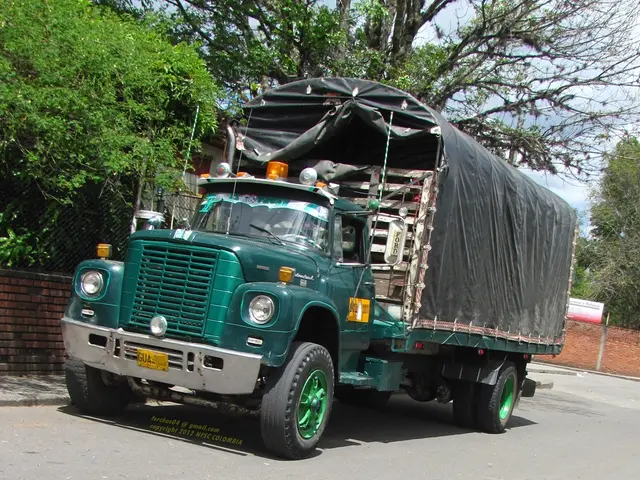Accident Witness Identifies Person Clad in Green at Intersection Scene