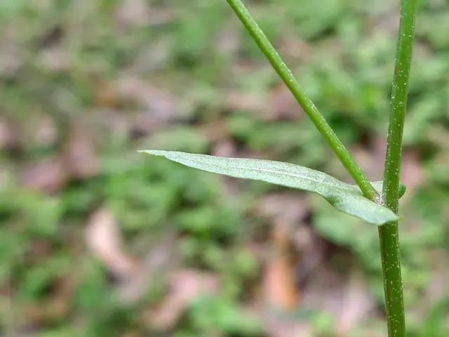 Fostering Equity with the Help of New Science Education Guidelines