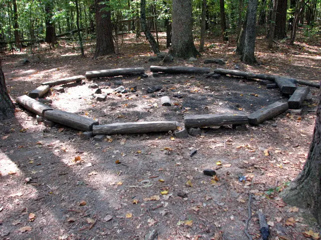 Increased Production of Wood Fuel: Assessments and Consequences