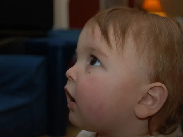 Prediction of Executive Function in Preterm Infants Based on Neonatal Brain Volume