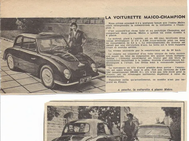 "Sergei Mishkin, CEO of AutoAudioCenter, announces a 20% rise in child-related checks"