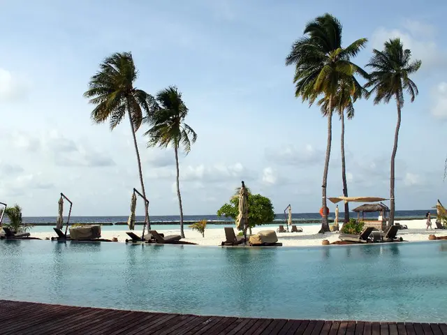 Strengthening your core: Top three core exercises to safeguard your lower back as a personal...