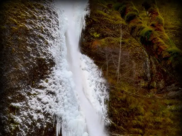 Mounting Climate Authoritarianism in Canada; A Similar Trend Looming for the U.S.