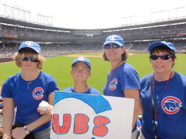 Achievable goals for the Hertha presidency, according to statement