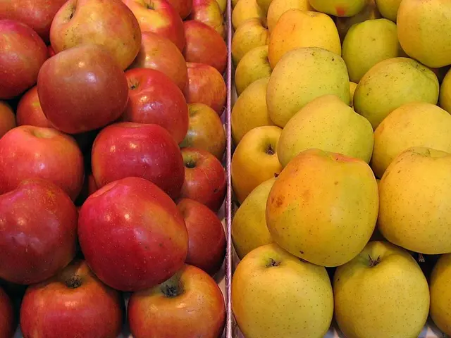 Significant Apple Recovery in Brandenburg's Harvest Following Last Year's Frost Damage