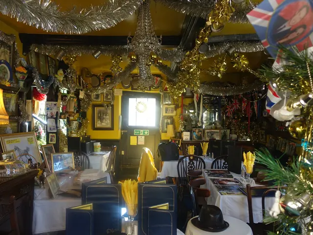 Swantje's Unique, Colorful, and Quirky Abode Shines Brilliantly