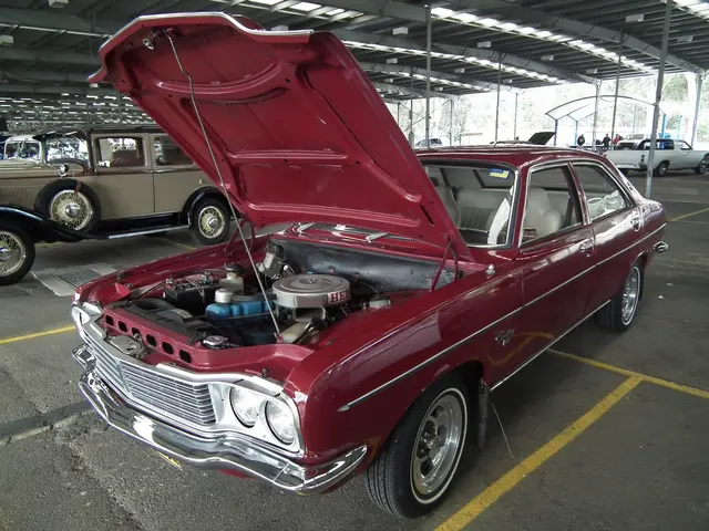 Car theft incident reported by Polish police