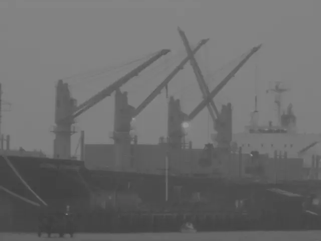 Mariner guiding cargo vessel while carrying a blood alcohol content of two promilles