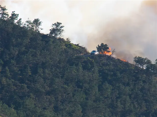 Firefighters hailing from Bonn, Düsseldorf, Leverkusen, Königswinter, and Ratingen headed towards...