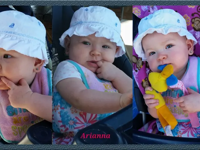 Preschool Activity: Busy Bag Focusing on Number Matches