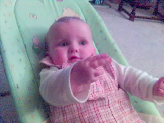 Introduction to "Micro-Insect" Instructional Series for Infants aged 3 to 8 months