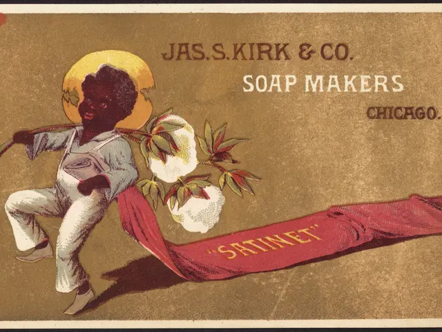 Search Called Off: Ceasing Public Efforts to Locate the 66-Year-Old Person Gone Missing in...