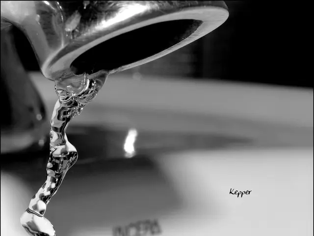 City authorities financially back Stadtwerke Rastatt to the tune of approximately EUR 1.44 million