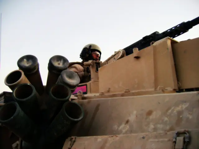 Uncovering novel health markers in organ transplant recipients battling COVID-19