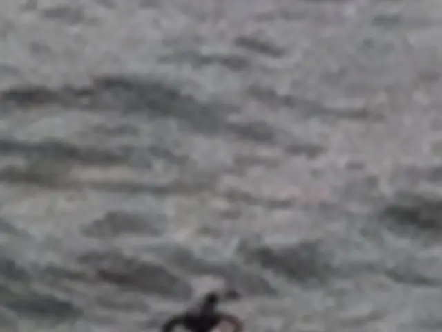 Research reveals the structure of nanobodies at NYUAD, providing potential strategies for combating...