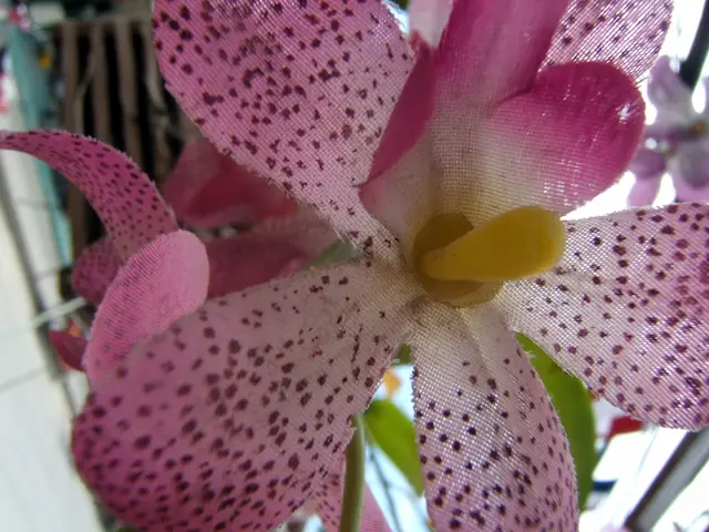 Iris van Herpen-Inspired Head Adornment Design