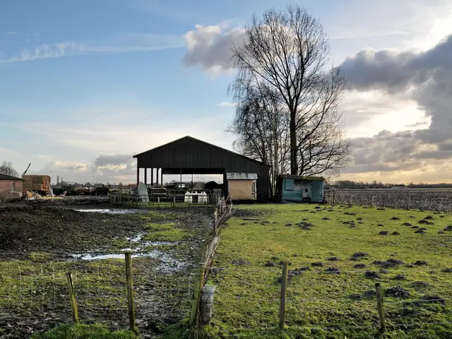 Construction Projects Impact on Biodiversity: Understanding Biodiversity Net Gain and its Potential...