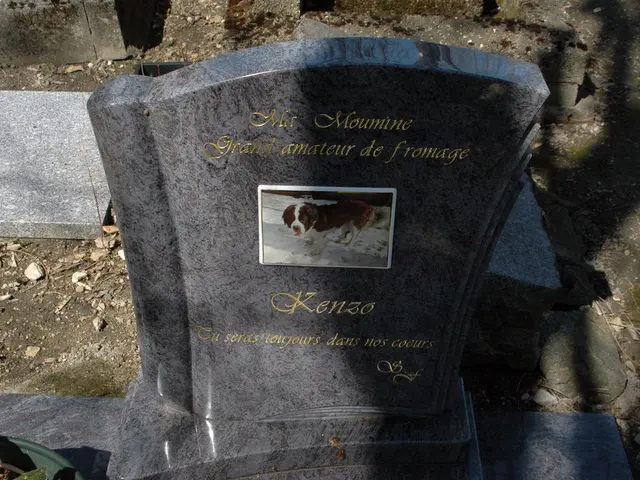 Display detailing the grim reality of "euthanasia" misdeeds