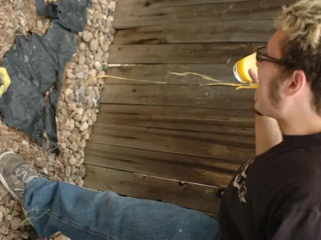 Witnesses Sought for Stone-Throwing Incidents and Burglaries in Heilbronn