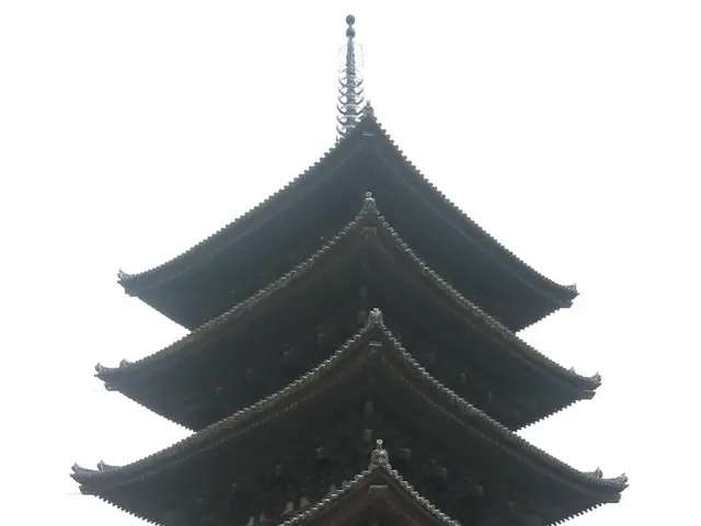 Deepening Financial Cooperation with China Discussed in Beijing Meetings by Aurangzeb