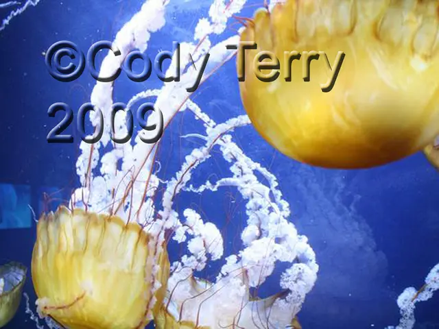 Design Experts Claim Benjamin Moore's Simply White Paint Shade as Ideal - Discover the Reasons