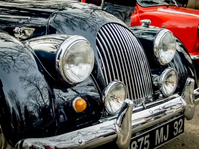 Verbal exchange near the plaza, featuring Steiner, addressing Verstappen: "Bear in mind, you're...