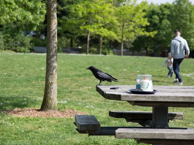 Outdoor DIY Projects for Families to Ignite Curiosity and Creativity